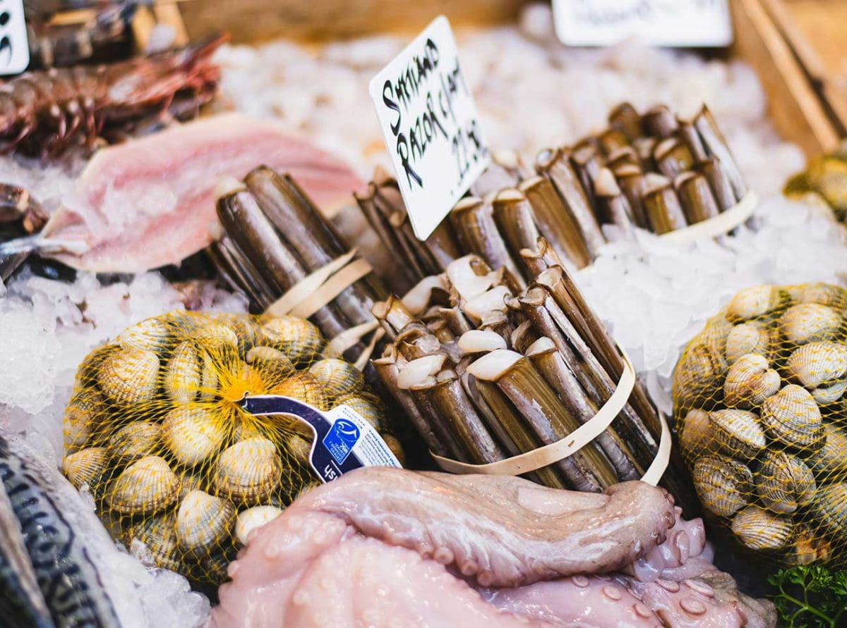 des couteaux de mer sur un étalage de poissonnier