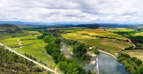 Vignoble de Rioja